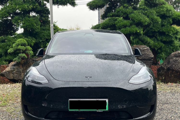 Used Tesla Model Y 2022 Revised Version Rear-Wheel Drive Exterior 5