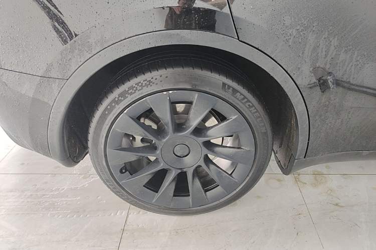 Used Tesla Model Y 2022 Rear-Wheel-Drive Version Exterior 5
