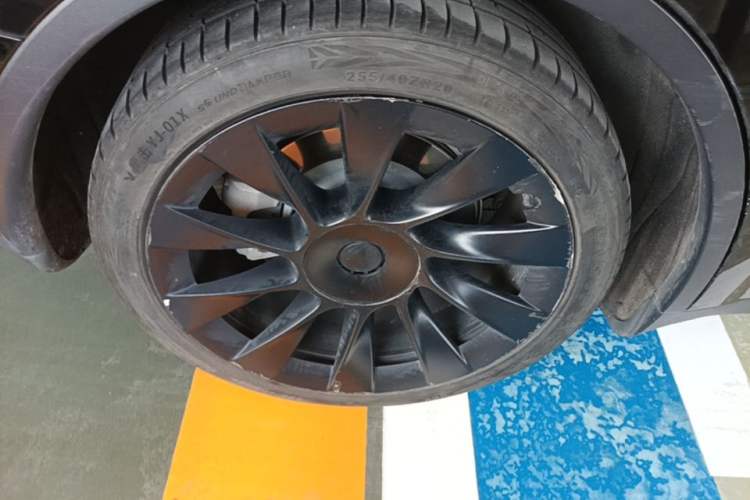 Used Tesla Model Y 2022 Rear-Wheel-Drive Version Exterior 5