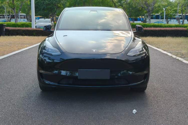 Used Tesla Model Y 2022 Long-Range All-Wheel-Drive Version Exterior 5