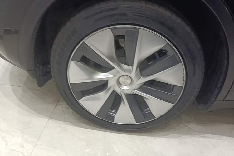 Used Tesla Model Y 2022 Rear-Wheel-Drive Version Exterior 5