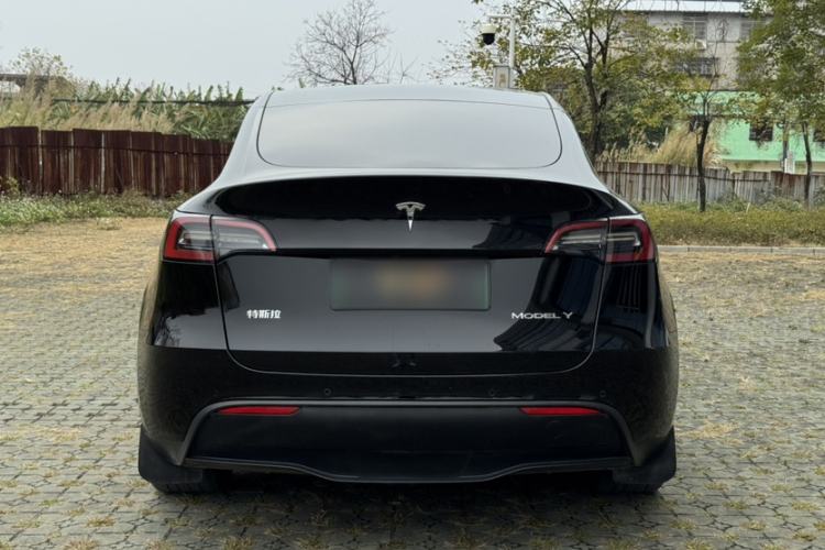 Used Tesla Model Y 2022 Revised Version Rear-Wheel Drive Exterior 5