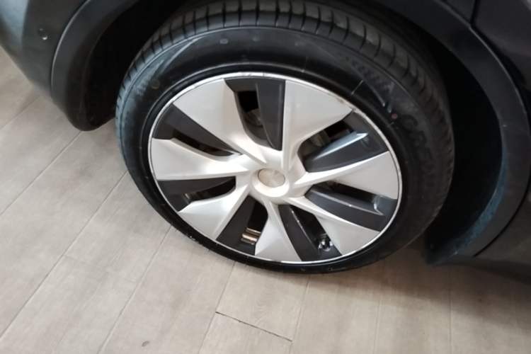 Used Tesla Model Y 2022 Revised Version Rear-Wheel Drive Exterior 5