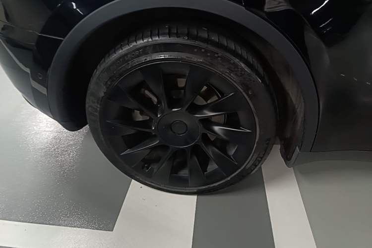 Used Tesla Model Y 2022 Rear-Wheel-Drive Version Exterior 5