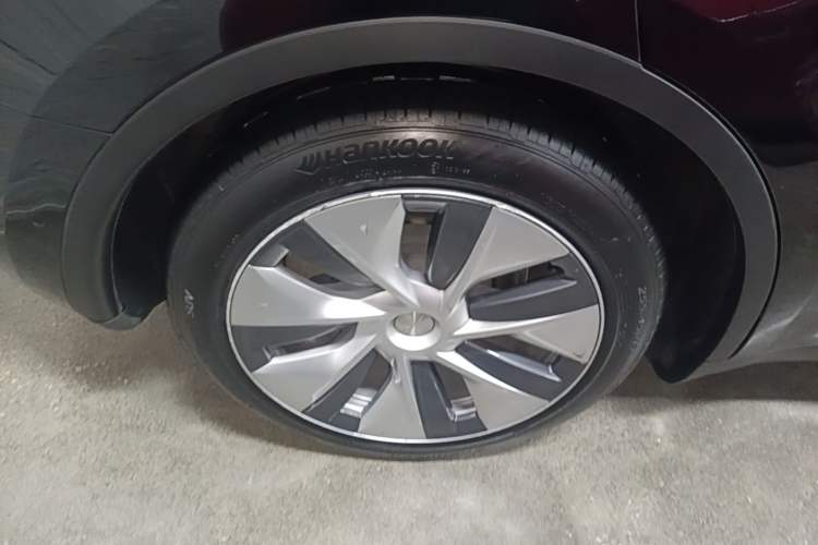 Used Tesla Model Y 2022 Revised Version Rear-Wheel Drive Exterior 5