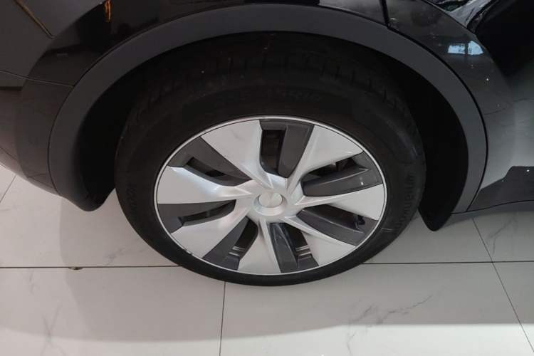 Used Tesla Model Y 2022 Rear-Wheel-Drive Version Exterior 5