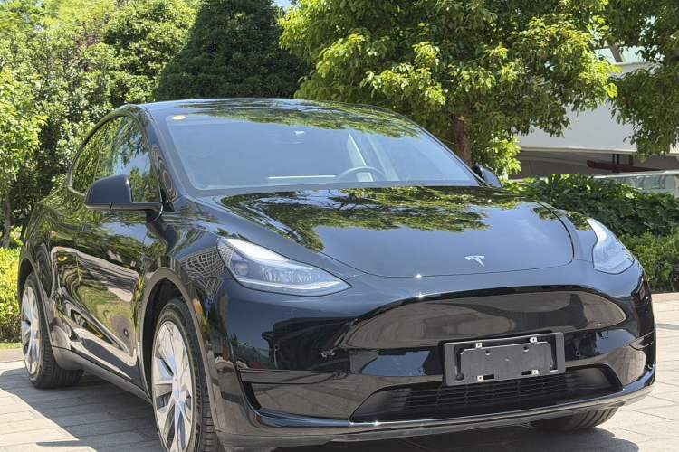 Used Tesla Model Y 2022 Rear-Wheel-Drive Version Exterior 5