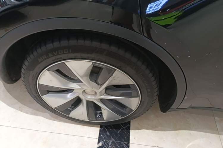 Used Tesla Model Y 2022 Revised Version Rear-Wheel Drive Exterior 5