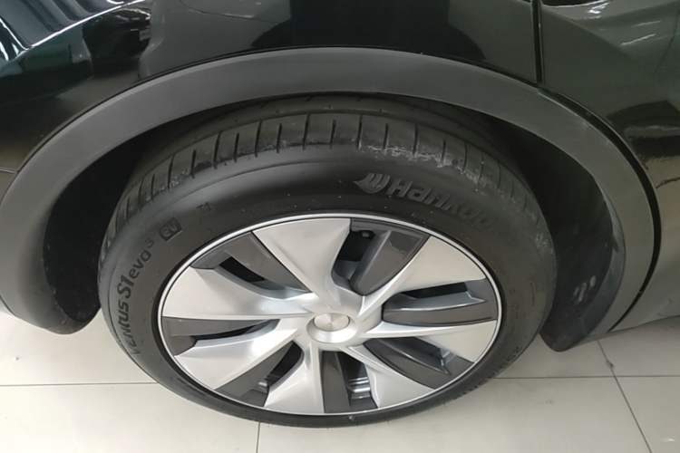 Used Tesla Model Y 2022 Rear-Wheel-Drive Version Exterior 5