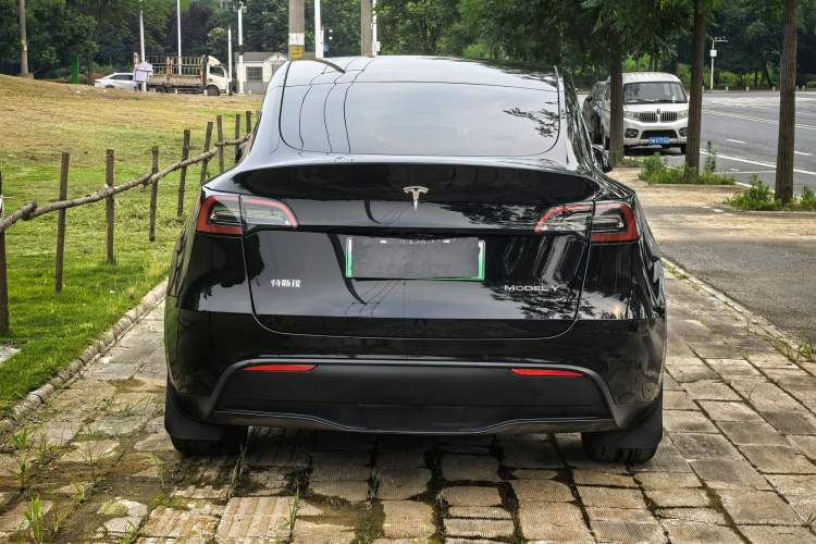 Used Tesla Model Y 2022 Revised Version Long-Range All-Wheel Drive Exterior 5