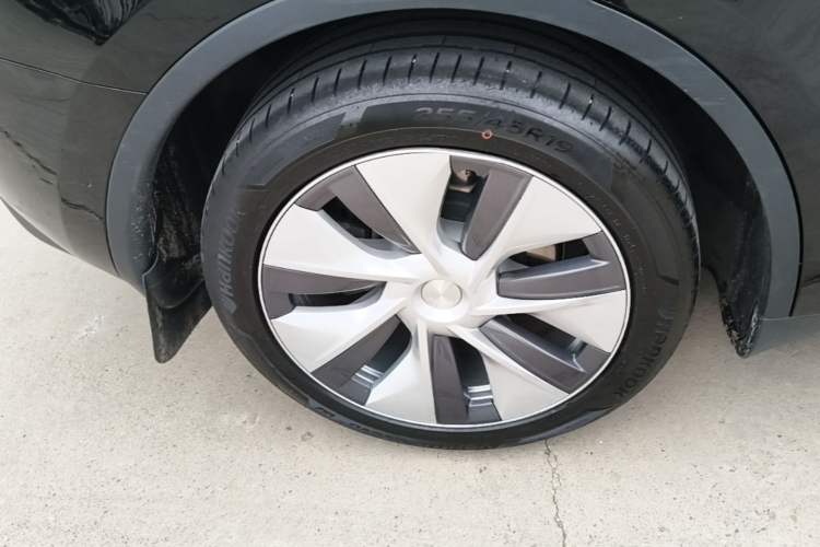 Used Tesla Model Y 2022 Long-Range All-Wheel-Drive Version Exterior 5