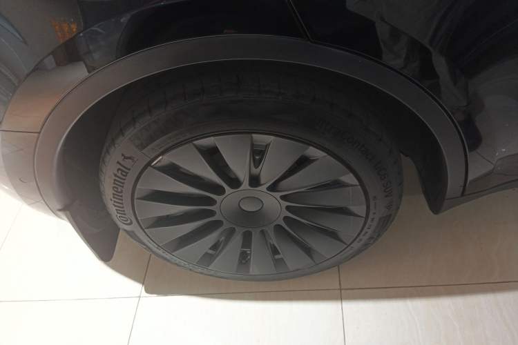 Used Tesla Model Y 2022 Rear-Wheel-Drive Version Exterior 5