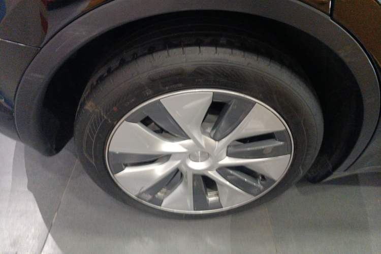 Used Tesla Model Y 2022 Revised Version Rear-Wheel Drive Exterior 5