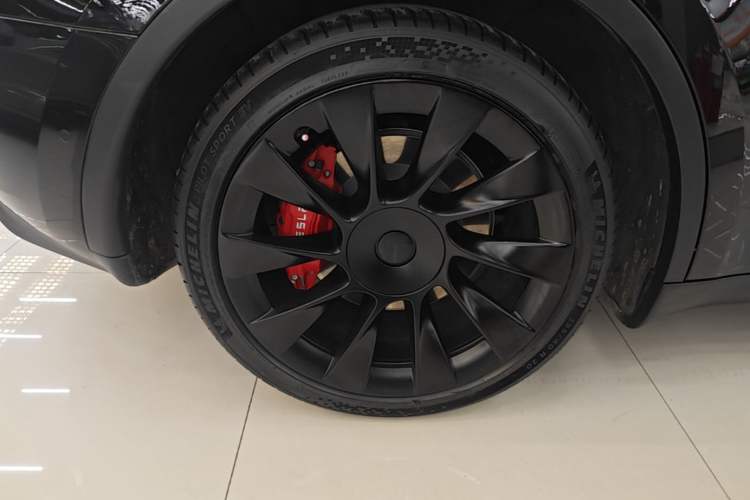 Used Tesla Model Y 2022 Rear-Wheel-Drive Version Exterior 5