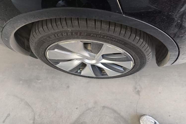 Used Tesla Model Y 2022 Rear-Wheel-Drive Version Exterior 5