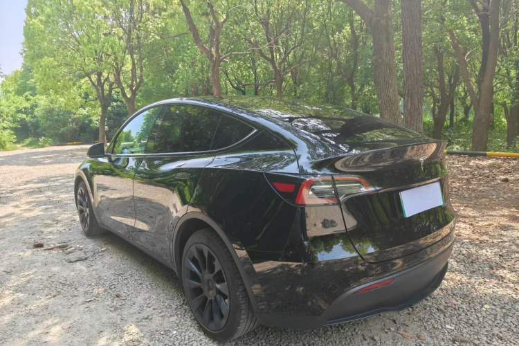Used Tesla Model Y 2022 Long-Range All-Wheel-Drive Version Exterior 5
