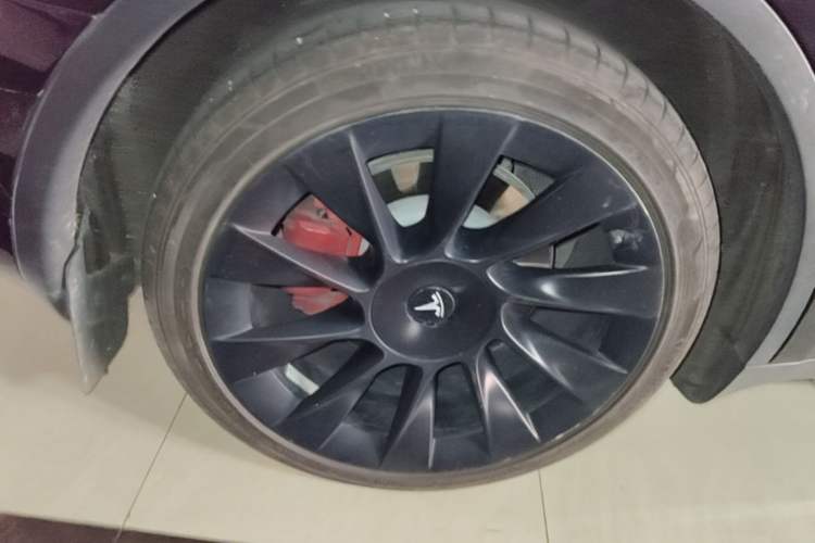 Used Tesla Model Y 2022 Rear-Wheel-Drive Version Exterior 5