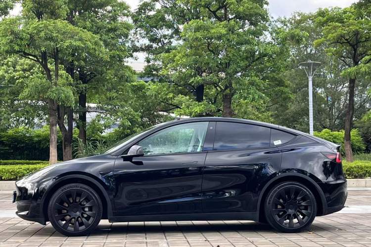 Used Tesla Model Y 2022 Revised Version Rear-Wheel Drive Exterior 5