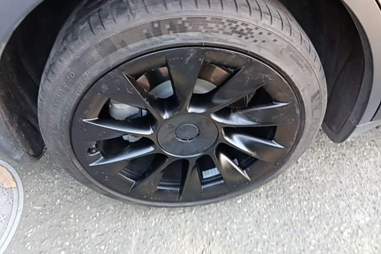 Used Tesla Model Y 2022 Rear-Wheel-Drive Version Exterior 5