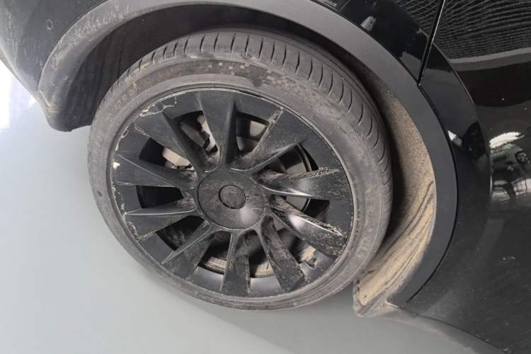 Used Tesla Model Y 2022 Revised Version Rear-Wheel Drive Exterior 5