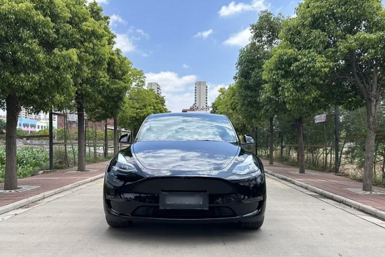 Used Tesla Model Y 2022 Long-Range All-Wheel-Drive Version Exterior 5