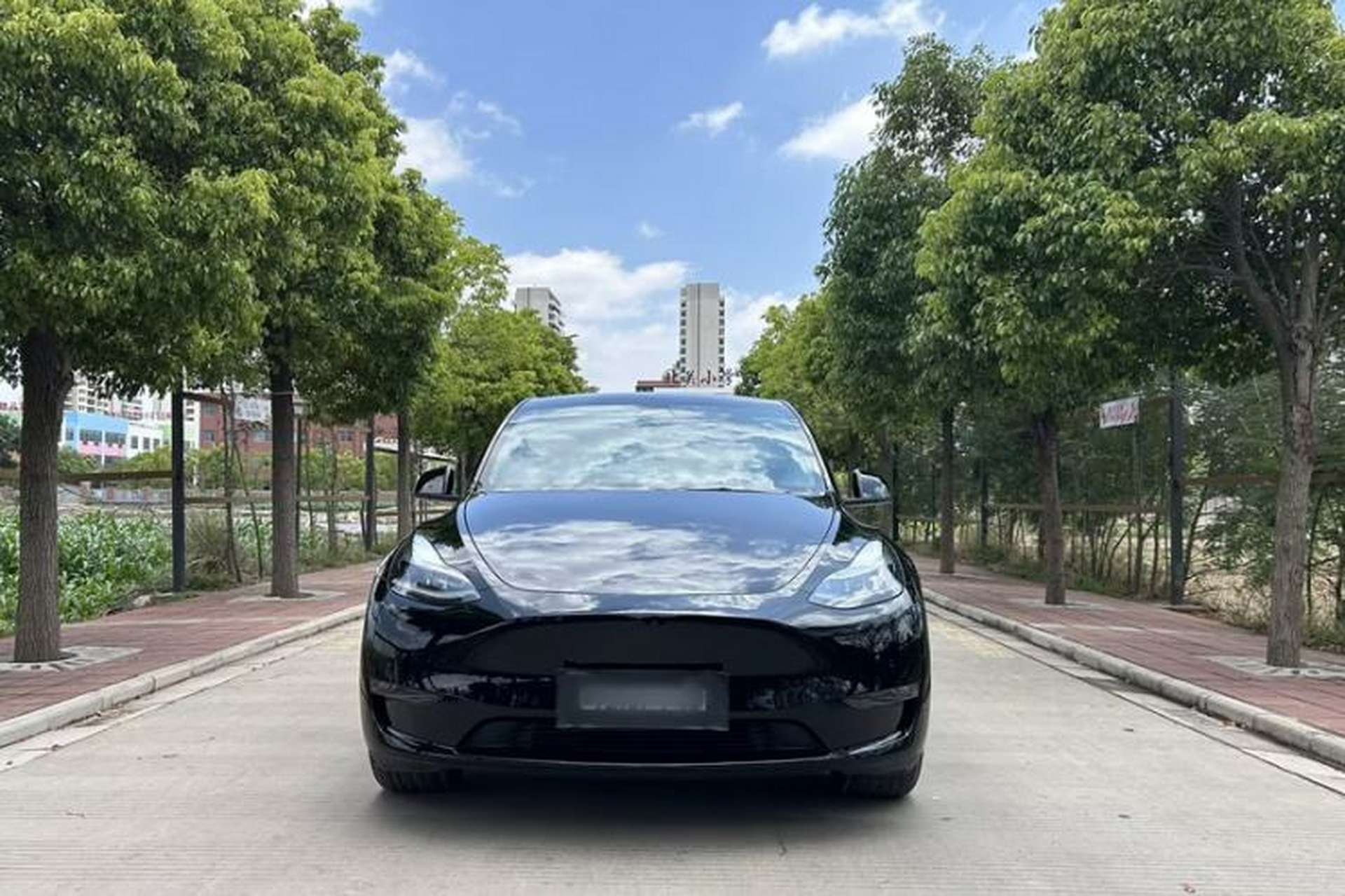 Used Tesla Model Y 2022 Long-Range All-Wheel-Drive Version Exterior 5