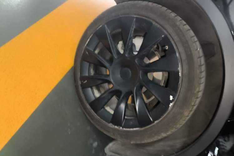 Used Tesla Model Y 2022 Rear-Wheel-Drive Version Exterior 5