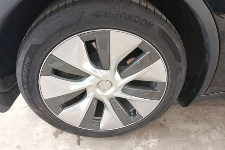 Used Tesla Model Y 2022 Rear-Wheel-Drive Version Exterior 5