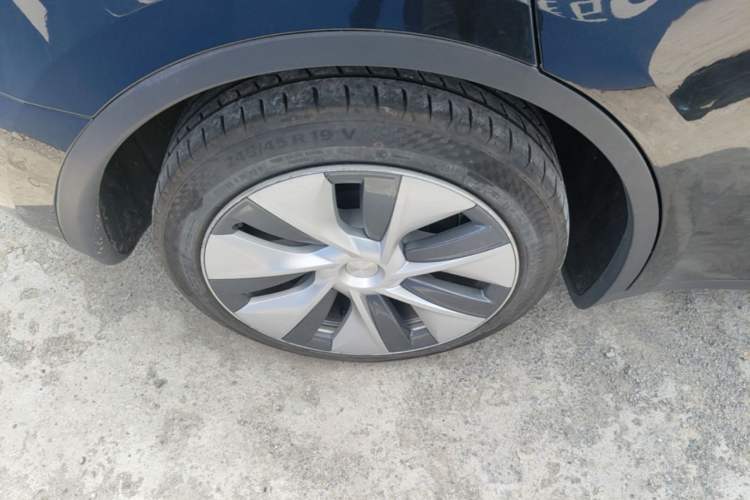 Used Tesla Model Y 2022 Revised Version Rear-Wheel Drive Exterior 5