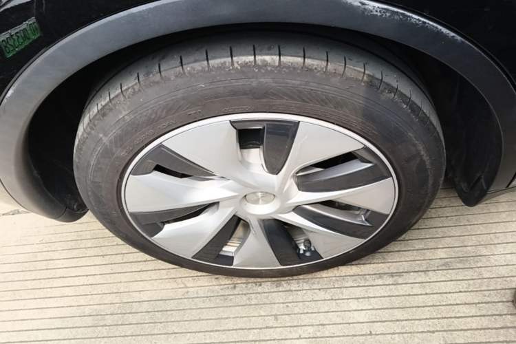 Used Tesla Model Y 2022 Rear-Wheel-Drive Version Exterior 5