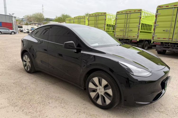 Used Tesla Model Y 2022 Rear-Wheel-Drive Version Exterior 5