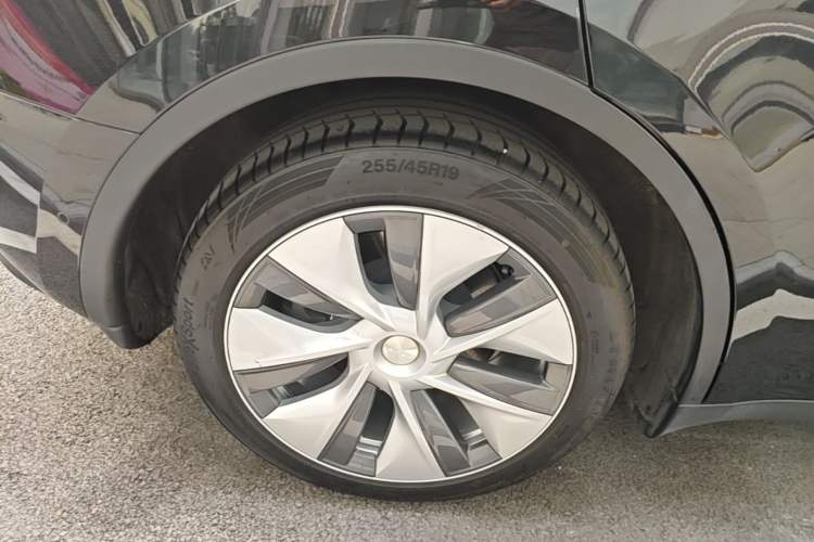 Used Tesla Model Y 2022 Rear-Wheel-Drive Version Exterior 5