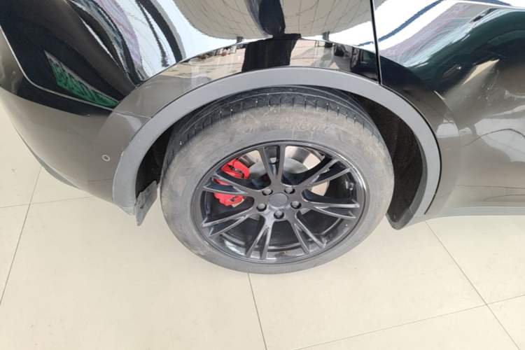Used Tesla Model Y 2022 Rear-Wheel-Drive Version Exterior 5