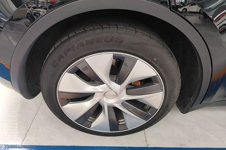Used Tesla Model Y 2022 Rear-Wheel-Drive Version Exterior 5