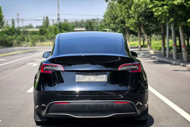 Used Tesla Model Y 2022 Revised Version Rear-Wheel Drive Exterior 6