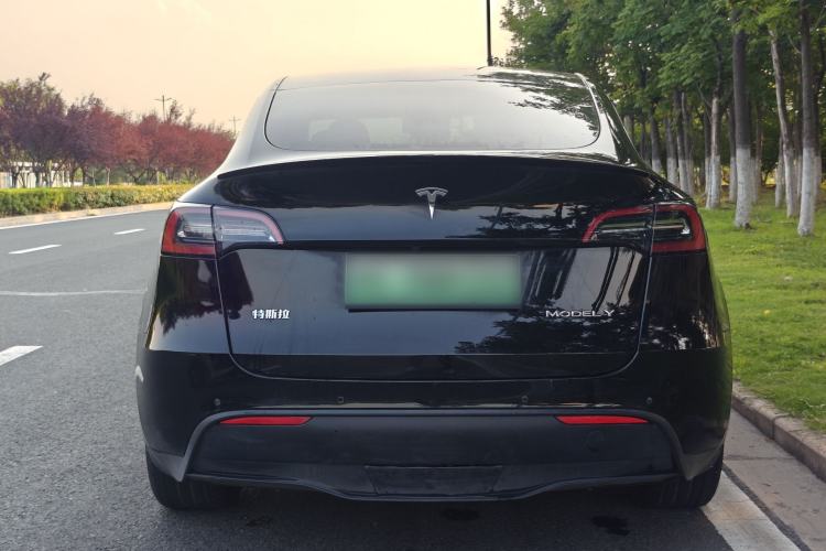 Used Tesla Model Y 2022 Rear-Wheel-Drive Version Exterior 6