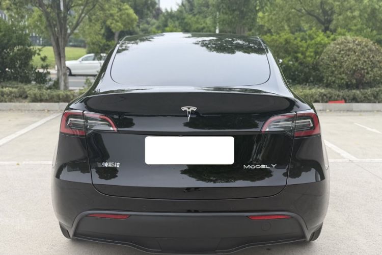 Used Tesla Model Y 2022 Revised Version Rear-Wheel Drive Exterior 6
