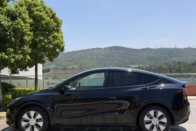 Used Tesla Model Y 2022 Rear-Wheel-Drive Version Exterior 6