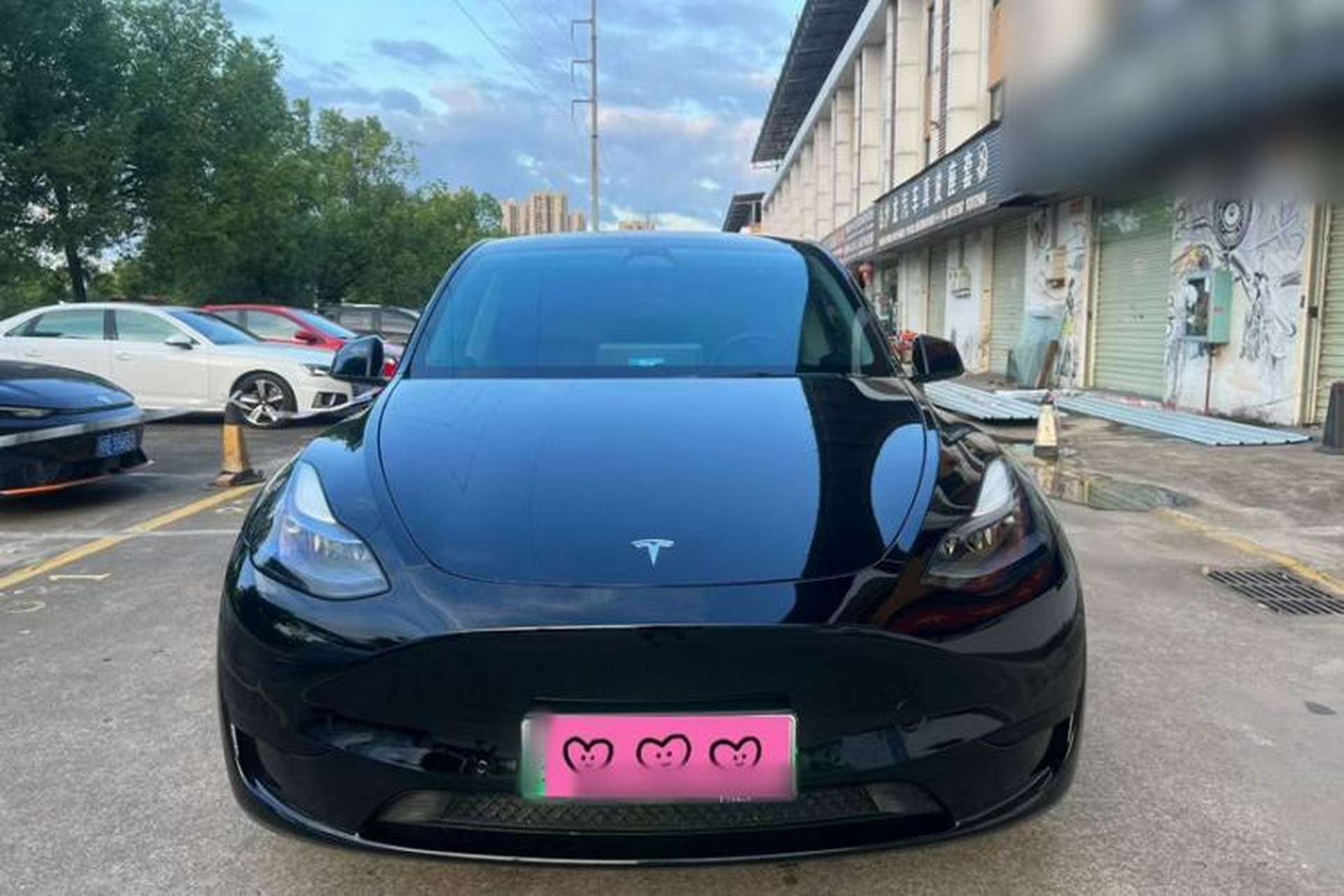 Used Tesla Model Y 2022 Revised Version Rear-Wheel Drive Exterior 6
