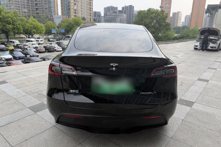 Used Tesla Model Y 2022 Rear-Wheel-Drive Version Exterior 6