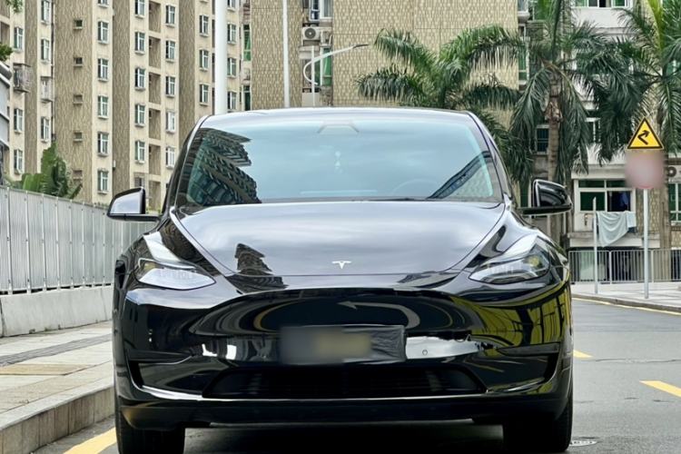Used Tesla Model Y 2022 Revised Version Rear-Wheel Drive Exterior 6