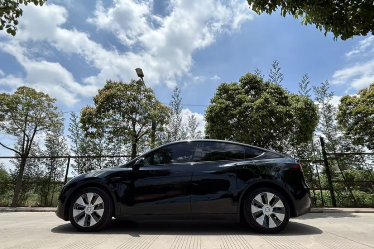 Used Tesla Model Y 2022 Long-Range All-Wheel-Drive Version Exterior 6