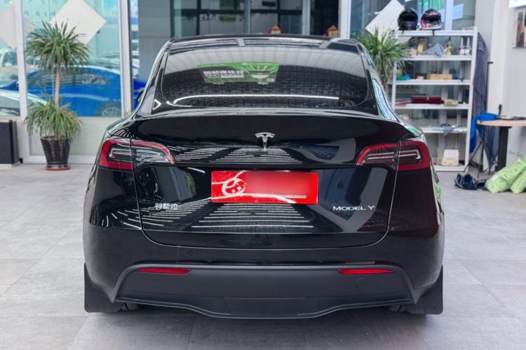 Used Tesla Model Y 2022 Revised Version Rear-Wheel Drive Exterior 6
