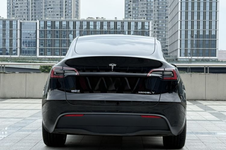 Used Tesla Model Y 2022 Revised Version Long-Range All-Wheel Drive Exterior 6