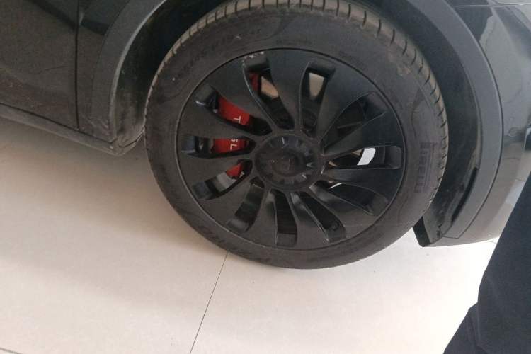 Used Tesla Model Y 2022 Rear-Wheel-Drive Version Exterior 7