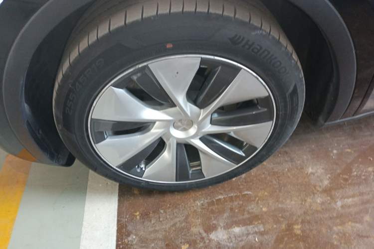 Used Tesla Model Y 2022 Rear-Wheel-Drive Version Exterior 7