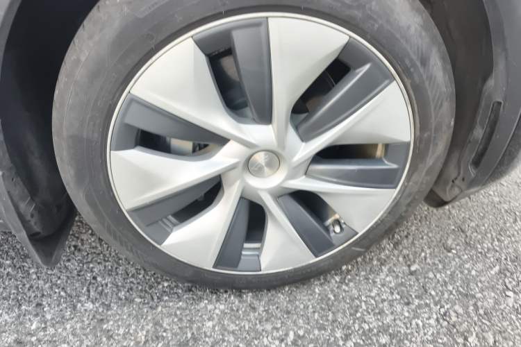 Used Tesla Model Y 2022 Rear-Wheel-Drive Version Exterior 7