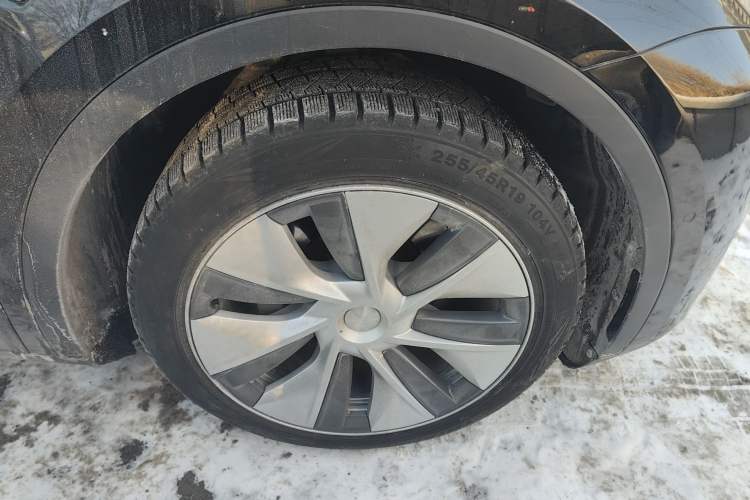 Used Tesla Model Y 2022 Revised Version Rear-Wheel Drive Exterior 7