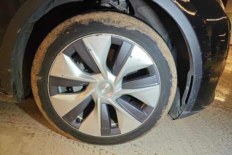 Used Tesla Model Y 2022 Revised Version Rear-Wheel Drive Exterior 7