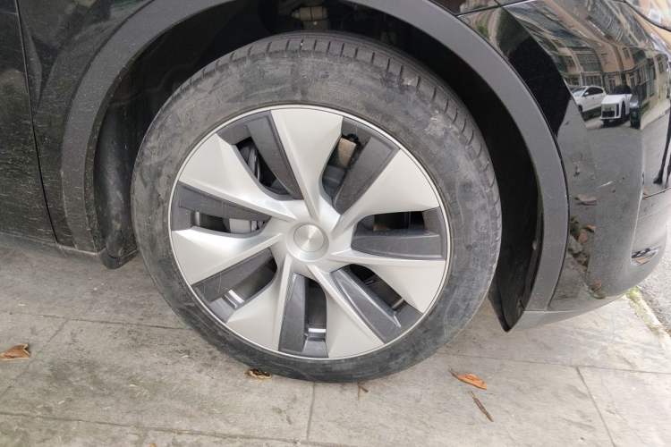 Used Tesla Model Y 2022 Revised Version Rear-Wheel Drive Exterior 7